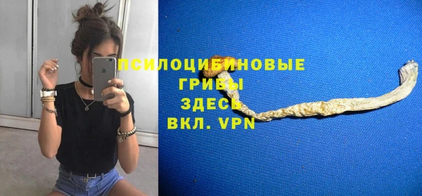 амф Алексин