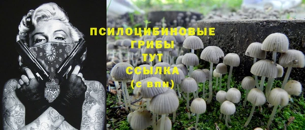 метамфетамин Алексеевка