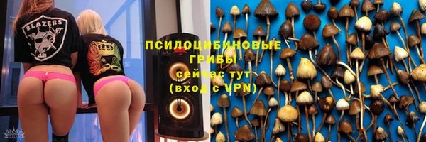 метамфетамин Алексеевка